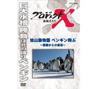 (Documentary) - Project X Challengers Asahiyama Doubutsuen Penguin Tobu-Heien Kara No Fu [Edizione: Giappone] [Italia] [DVD]