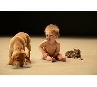 (Documentary) - Secret Life Of Babies [Edizione: Giappone] [Italia] [DVD]