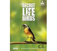 Documentary - Secret Life of Birds (BBC) [DVD de Audio]