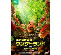 (Documentary) - Tiny Giants [Edizione: Giappone] [Italia] [DVD]