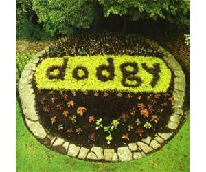 Dodgy - Ace A's & Killer B's