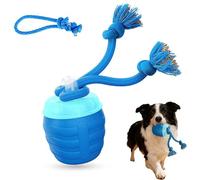DODHIZ Pelota para mascotas de movimiento inteligente mejorada, juguetes interactivos para perros con movimiento activado, para mascotas aburridas, gatos, perros, manteniendo a tu amigo peludo feliz y