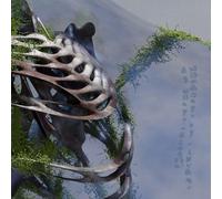 Doell, Jason - becoming in shadows / of being touched [Vinilo]