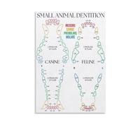 Dog and Cat Teeth Poster Canvas Print Animal Science Wall Art Educational Chart for Study Room Decor(Framed,16X24inch(40X60cm))