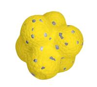 Dog Ball Direction, Safe Dog Chew Toys, Lightweight Dog Ball, Stress Relief Dog Ball, Gentle Support Dog Toy, Emotional Support Pet Ball, Dog Ball for Puppies, Pet Chew Ball, Interactive Dog Ball