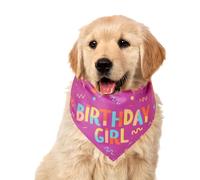 Dog Bandanas, Birthday Boy Bandana Hat Toy, Soft Adjustable Doggy Scarf, Cute Bone Design, Pet Supplies for Medium Puppies, Walking Accessories, Cotton Polyester