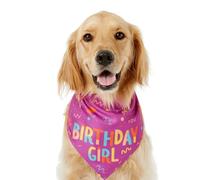 Dog Bandanas, Pet Triangle Scarf, Puppy Bib, Adjustable Neck Fit, Soft Lightweight Fabric, Outdoor Walking Running Accessory, Blue Pink Dog Bandana, Size 9x6