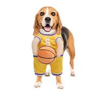 Dog Basketball Outfit, Pet Basketball Traje, Dog Holding Ball, Halloween Dog Cosplay, Breathable Pet Apparel, Large Cat Costumel, Sports Themed Pet Wear, Dog Sports Costume, Fun Attire for Pets