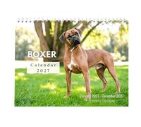 Dog Calendar - 2027 Wall Planner Paper Monthly Organizer Home Office