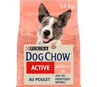 Dog Chow Active Pollo 15 kg