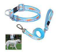 Dog Collar and Lead Set, Adjuastable Pet Reflective Collar with 173cm Traction Leash, Cat Leash Comfortable and Non-Stringy, For Small/Medium/Large Dog Training, Walking, Running (Blue,S)