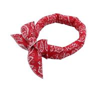 Dog Cooling Bandana - Reusable Pet Neck Cooling Scarf