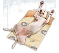 Dog Cooling Mat, Pet Sleeping Pad, 27,56 x 19,69 in Portable & Soft Comfort Easy to Clean, Pets Sleeping Mats for Interior, Outdoor Use, Crate, Jaula, Kennel, Car, Bedroom, Hot Weather, Summer