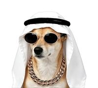 Dog Costume - Arabic Pet Cosplay Clothes Set, Middle Eastern Pet Head Wrap with Hat Sunglasses Necklace | Puppy Cat Costume Outfit for Holiday Party, Birthday, Travel, Halloween, Themed Event Dress Up