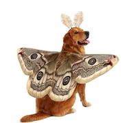 Dog Costume - Cat Wing Clothes with Headband, Halloween Moth Dog Wings Outfit, Cute Pet Cosplay Set for Cats Puppies Small Medium Large Breeds Holiday Halloween Dress Up 19,69 x 8,66 pulgadas