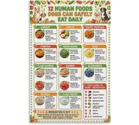Dog Diet Guide Poster Safe Human Foods for Dogs Canvas Print Wall Art Pet Care Nutrition Kitchen Decor