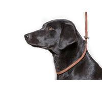 Dog & Field Correa Antideslizante de Lujo para Perros Gundog, Color marrón. Correa Antideslizante de Nailon Trenzado súper Suave para Perros con tapón de Goma, fácil de Poner, no Necesita Collar ni