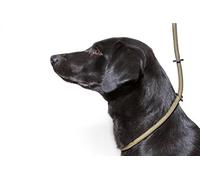 Dog & Field Deluxe Gundog - Correa Antideslizante de Nailon, Color Verde