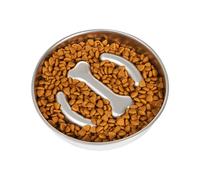 Dog Food Slow Feeder Bowl - Stainless Steel Slow Feeder Dog Bowl | Medium Large Breeds Pet Care Anti-Tip Licking Basin for Beef Jerky, Diced Chicken | Pet Puppy Fun Puzzle Feeder | Slow Eating