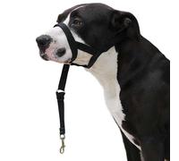 Dog guider Ibáñez Dogway DOG GUIDER IBÁÑEZ DOGWAY L