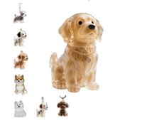 Dog Hair Collector Keychain, Charm Memorial Storage Box, Pet Hair Memorial Keepsake for Pet Owners Gift, Dog Memory Capsule (H,1)