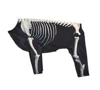 Dog Halloween Costume, Skeleton Bodysuit, Black Color, Soft Breathable Fabric, Easy Wear Design, Pet Outfit for Festive Apparel Cosplay Celebrations Parties Outdoor Walks