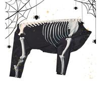 Dog Halloween Costume, Skeleton Bodysuit, Black Color, Soft Breathable Fabric, Easy Wear Design, Pet Outfit for Festive Apparel Cosplay Celebrations Parties Outdoor Walks