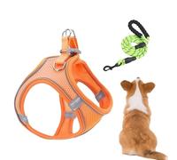 Dog Harness and Leashes Set - Reflective No Choke Pet Vest Harness | Escape Proof Adjustable Soft Mesh Puppy Harnesses and Leash Set with Reflective Straps, Breathable Cat Dog Vest for Training