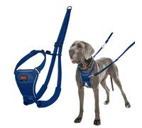 Dog Harness Company Of Animals Blue L NUEVO