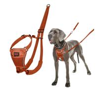 Dog Harness Company Of Animals Orange L NUEVO