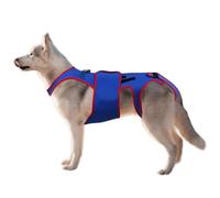 Dog Health Support, Dogs Mobility Support, Pet Back Protector, Transpirable Fabric, Soft Padded for Relief, Injury Prevention, Black, Mobility Issues