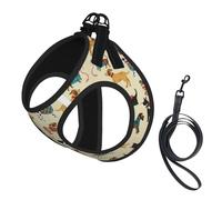 Dog Hound - Juego de arnés y correa estampados, ajustable, transpirable, suave, chaleco de malla para mascotas con tira reflectante
