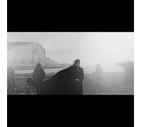 Dog In The Snow - Vanishing Lands