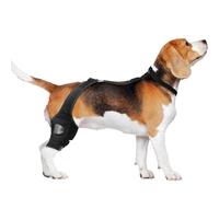 Dog Knee Brace, Back Leg Support Sleeve, 70 g 120 g 150 g 160 g, Soft Joint Protector, Post-Surgeries Support, no deslizable Pet Strap for Mobility, Recovery Aid, Rehabilitación