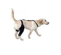Dog Knee Brace, Large Dog Knee Brace for Torn Acl Hind Leg for Support with Cruciate Ligament Injury, Better Recovery with Dog Leg Braces for Back Leg