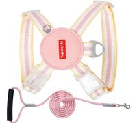 Dog Leash Harness, Dog Harness, Puppy Harness and Traction Rope, Adjustable Small Dog Harness with Breathable Lightweight Vest - Pet Lead Combo for Small Dogs