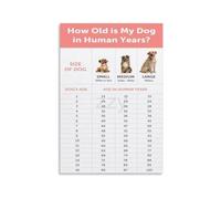 Dog Life Stage Poster Age Chart Guide