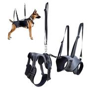 Dog Lift Harness, Dog Mobility Assistance, Grab Handle, Adjustable Carrying Aid Vest Brace for Rehabilitation and Training, Recovery Support Mobility-Challenged Breeds, Comfortable Design