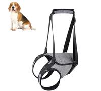 Dog Lifting Harness - Senior Support Belt, Rear Leg Strap Aid | Pet Walking Sling for Mobility Assistance, Comfortable Dog Harness with Handle for Injured Or Disabled Canine Recovery