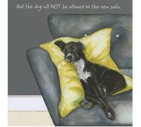 Dog Not Allowed On The Sofa Little Dog Laughed Greeting Card Blank Inside