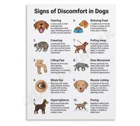Dog Pain Signals Poster Canine Health Awareness Home Office Art(Unframed,12x18inch(30x45cm))