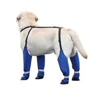 Dog Paw Boot Leggings, Waterproof Dog Shoes, 31,5 x 26,47 in Non Slip Pooch Winter Boots, Compact Medium Puppy Boots with colgantes, Dirty-Proof Canine Footgear