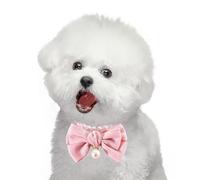 Dog Pearls Necklace Jewelry, Adjustable Cute Basic Collars, Elegant Felt Bow 25 cm Chain For Creative Animal Accessories Long Lasting Professional Pet Supplies Daily Kit Modern Neck Unit