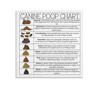 Dog Poop Chart Poster Canine Stool Health Guide for Pet Owners to Identify Digestive Issues Veterinary Clinic Home Wall Art Decor(Framed,12X18inch(30X45cm))