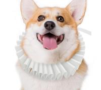 Dog Renaissance Elizabelthan - Collar ajustable isabelino | Perro para cosplay de vacaciones, disfraz para mascotas, Halloween, Navidad, fiesta, sesión de fotos, uso diario