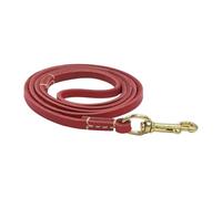 Dog Rope, Pet Leashes, Ergonomic Design Lightweight Build Comfortable Grip Sturdy Construction Non-Slip Handle Flexible, Safety Belt for Pets, 61.02x0.24x0.04inches
