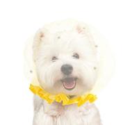 Dog Scavenging Muzzle - Anti Eating Basket for Outdoor Walks | Breathable Mesh with Adjustable Strap Secure Fit Training Safety Guard for Preventing Ground Food Picking and Unwanted Biting