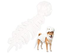 Dog Skeleton Halloween Costume - - - Dinosaur Bone Dress Up Cosplay Funny |
