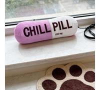 Dog Squeaky Toys | Squeaky Dog Toys | Pill Shape Stuffed Puppy Exercise Toy | Squeaker Puppy Toy for Apartment and Home | Interactive Pet Ţoy for Rainy Days and Trainers | Soft Plush Squeaker