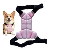 Dog Summer Vest - Correa doble ajustable - Hot Summer Dog Cooling Jacket - for Strolling Training Adventure Hiking Small Medium Breeds